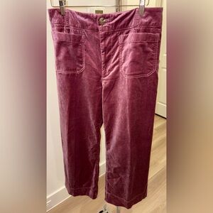 Anthropologie Maeve Colette Pink Purple Velvet Cropped Pants SZ 31